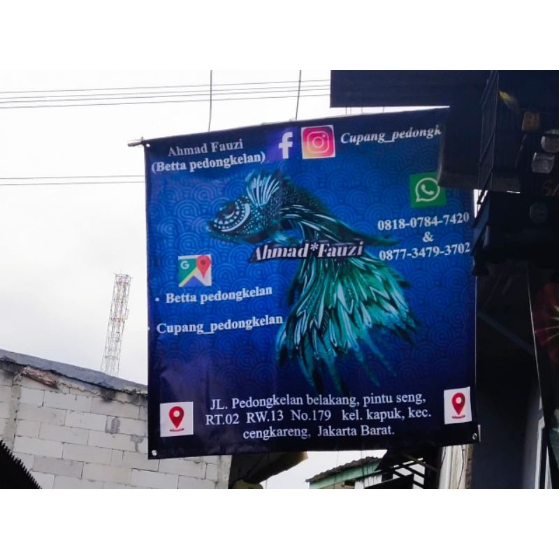 surat karantina ikan