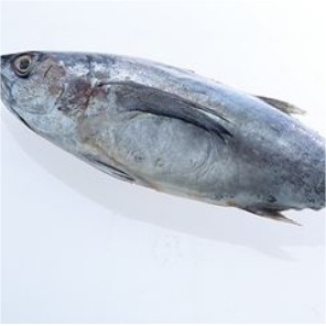 

Ikan Tuna / kg (Berat Menyesuaikan rata2 berat 1.5kg/ikan) #Seafood #Segar #Online #Bandung #Cimahi