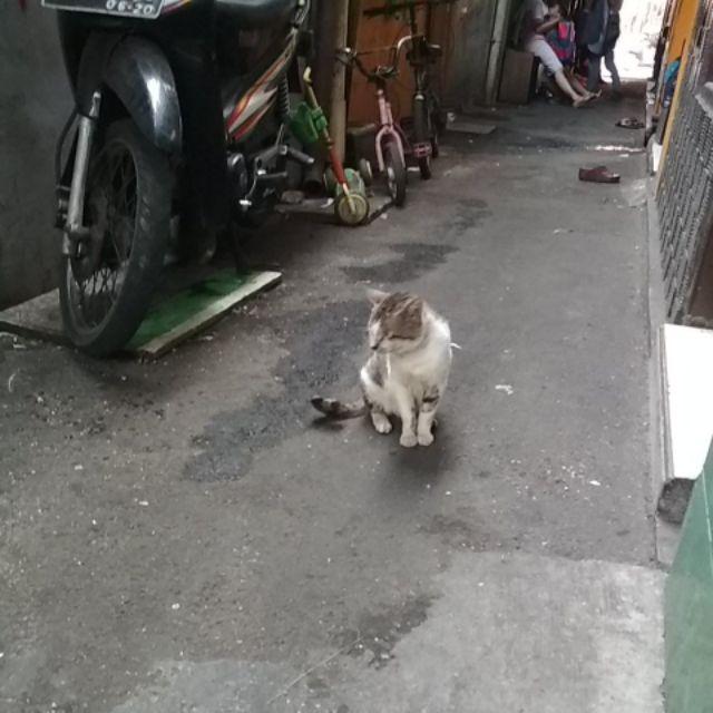 Paku Beton Marabu Full Sekotak 1 Kg