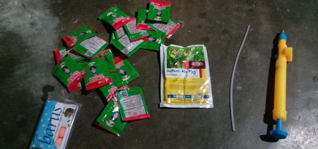 [lem Lalat] Obat Lalat- Racun Lalat Zhang Pei Zhen Ori 100%