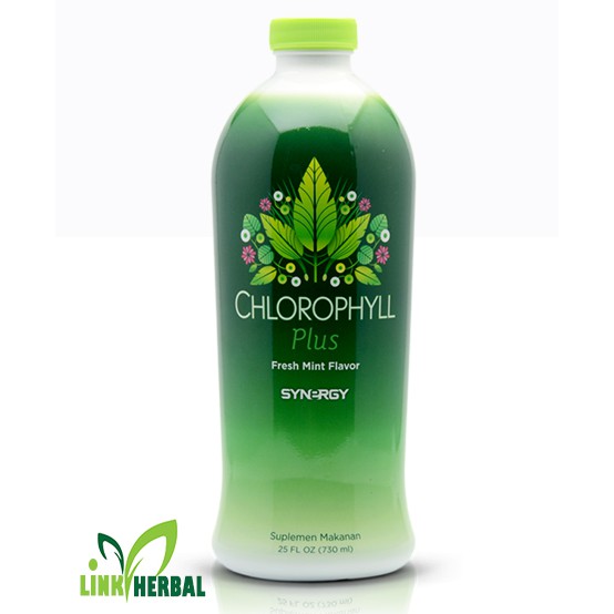 Chlorophyll Plus Fresh Mint Flavor Synergy Suplemen Makanan 730 ml ORIGINAL