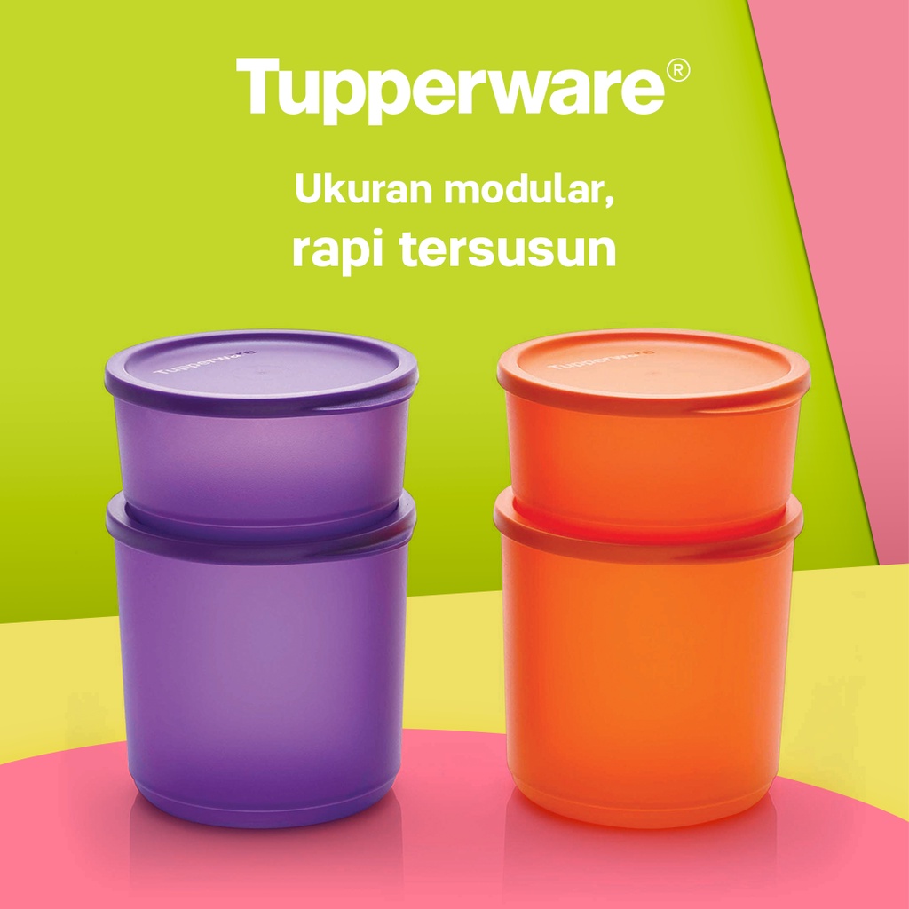 Summer Go Round Tupperware Toples Wadah Makanan