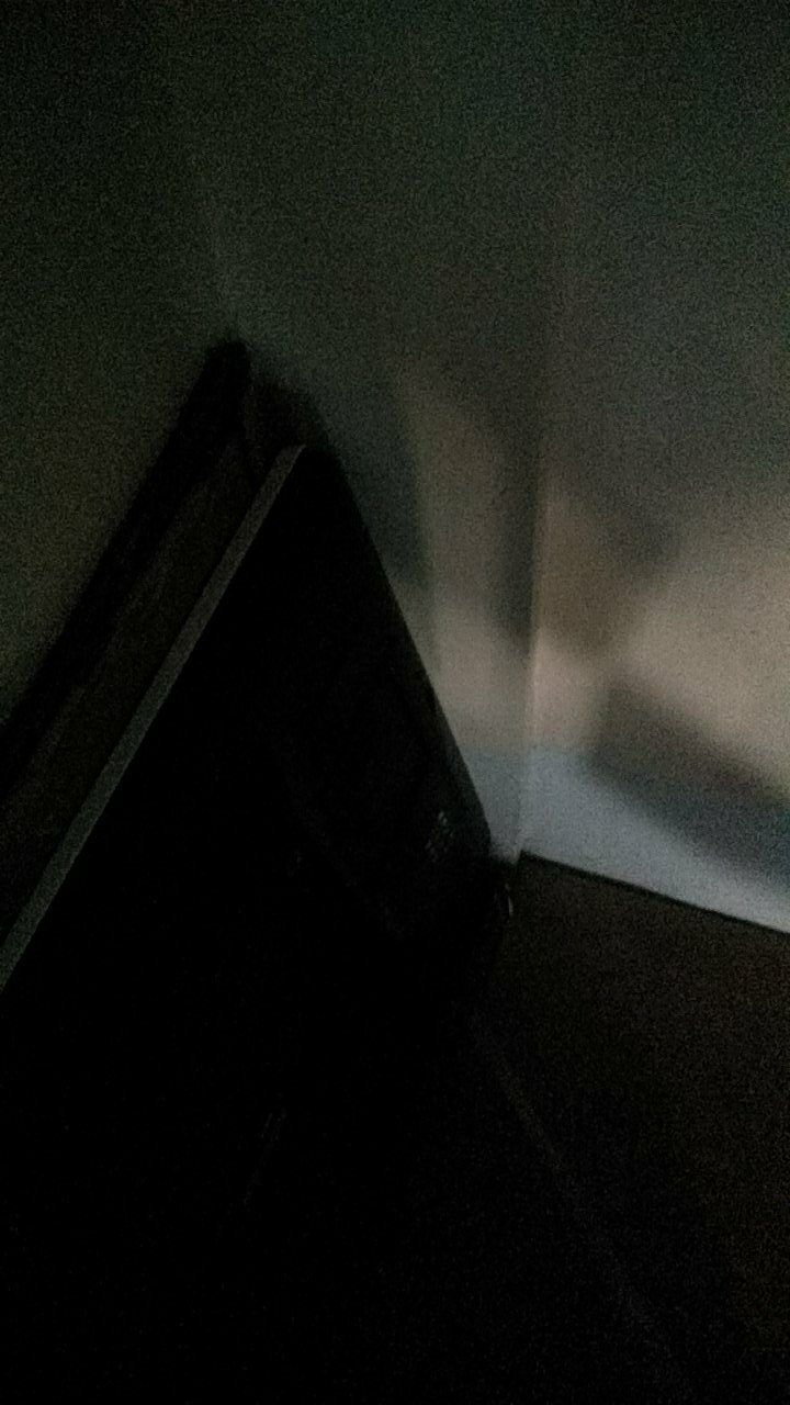 Rice Box / Food Pail Polos M L @1pcs