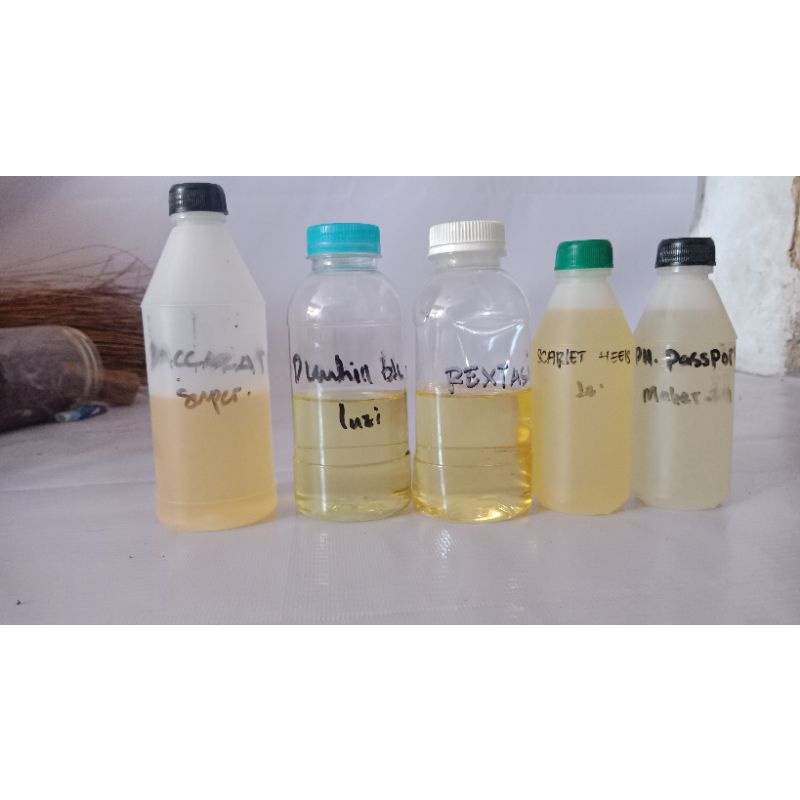 parfume bibit asli LUZI