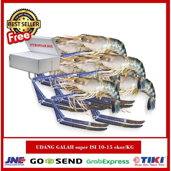 

PROMO UDANG GALAH Murah ISI 10-15 ekor/KG/UDANG SEGAR/UDANG