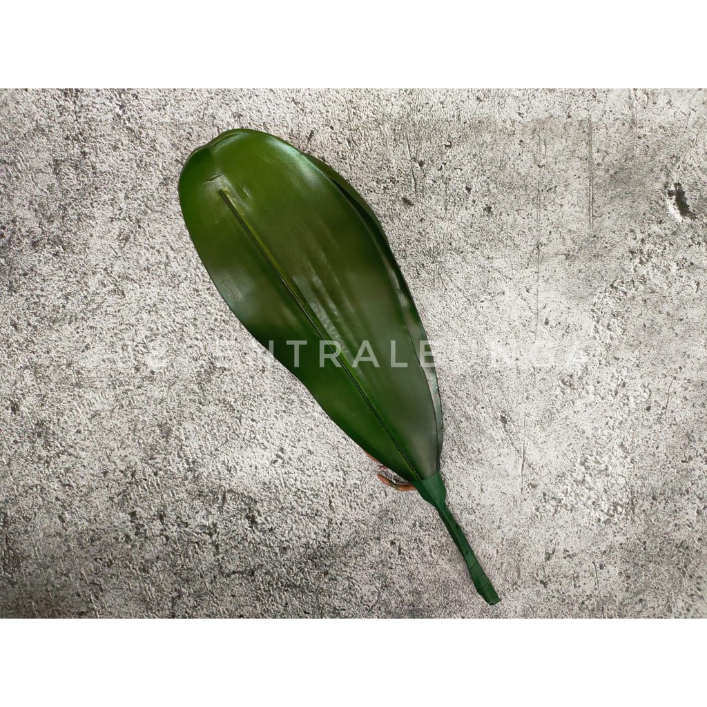 DAUN ANGGREK LATEX JUMBO 5 DAUN
