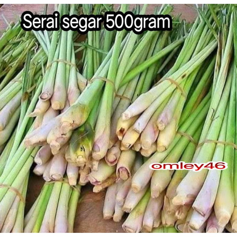 

DAUN SERAI SEGAR 500gram bumbu masak