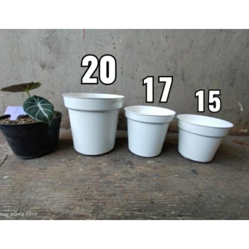 Pot tinggi srondol putih, pot tinggi murah