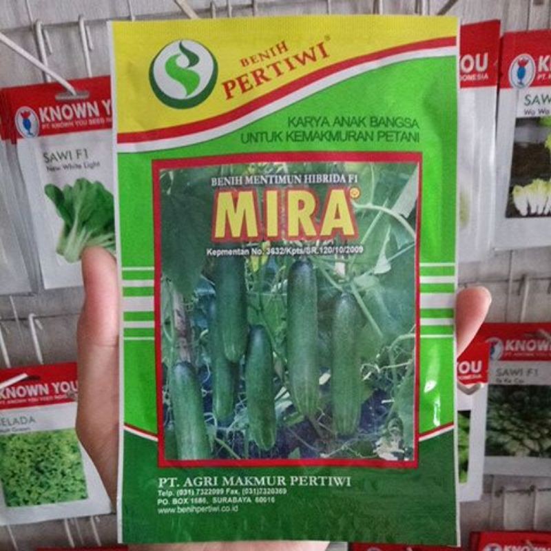 Benih Bibit Timun Hijau MIRA F1 Isi 25gr