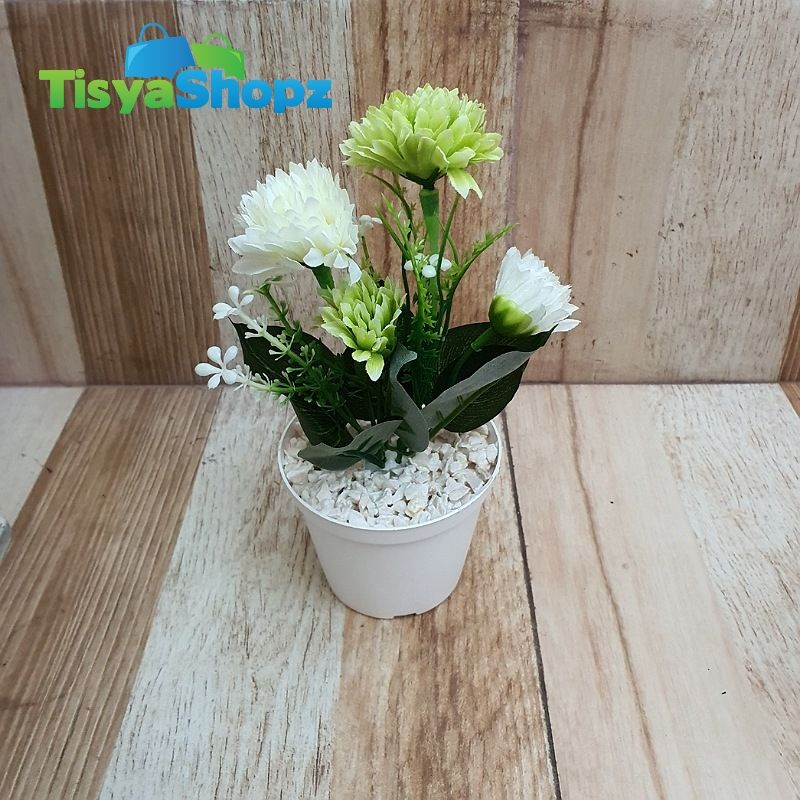 Bunga Pompom Bombay + Pot