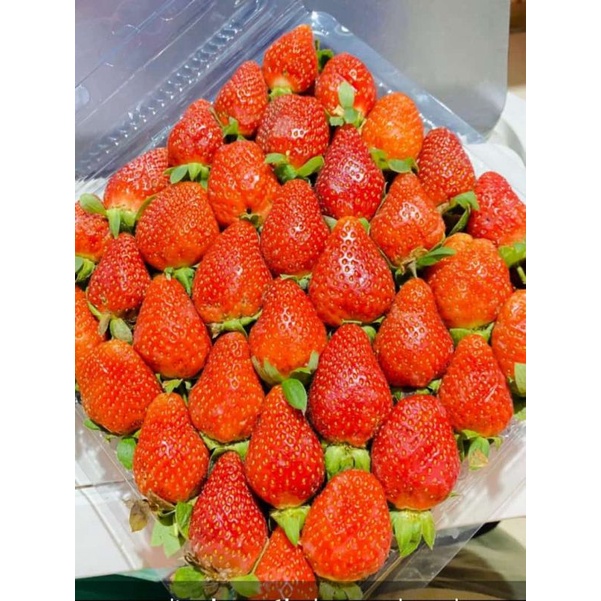 

strawberry