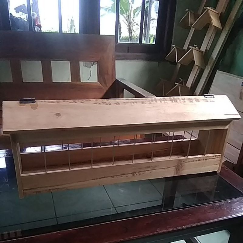 tempat pakan merpati koloni
