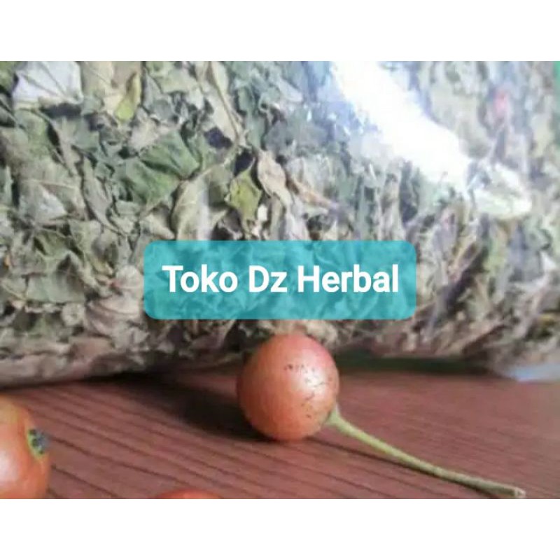 

Daun kersen kering paket hemat 500 gram-az