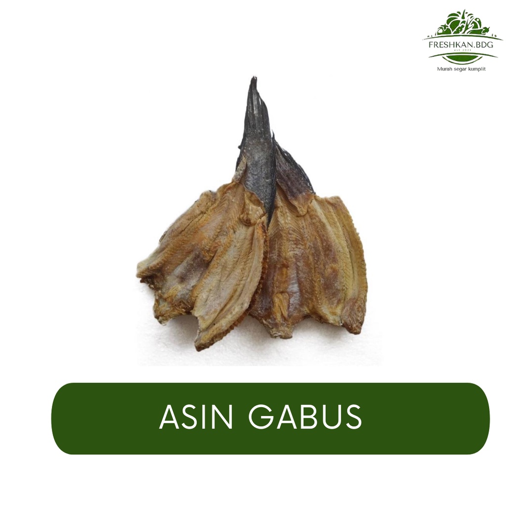 

IKAN ASIN GABUS