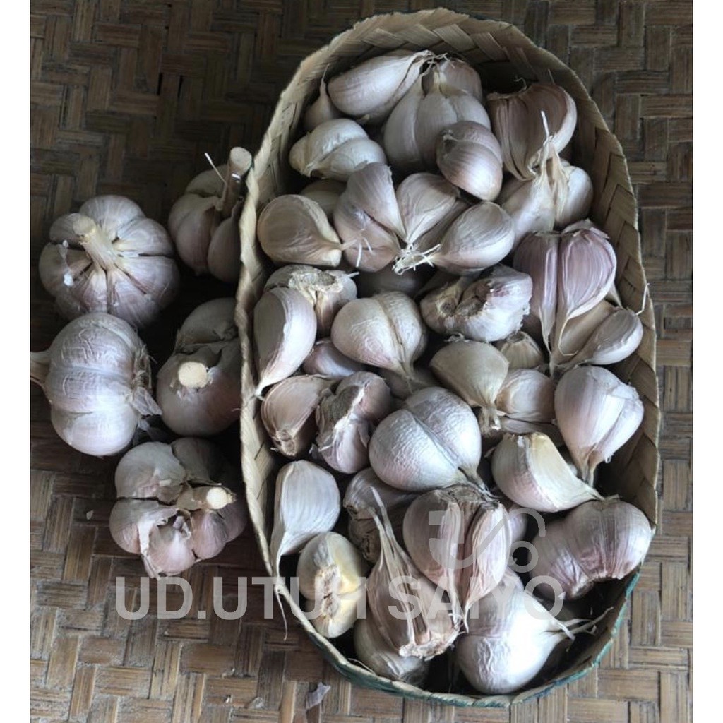 

bawang putih kating
