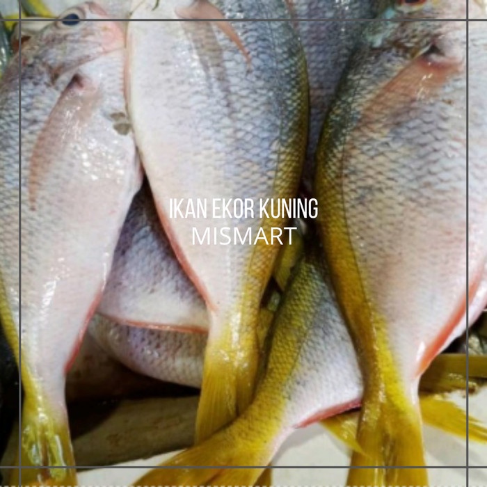 

IKAN EKOR KUNING - 1kg - 1kg