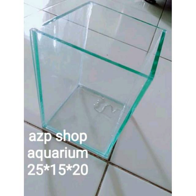 Aquarium mini