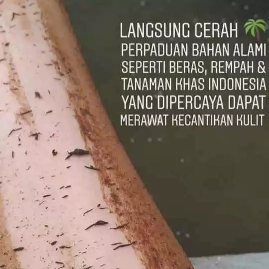 LULUR/MASKER WAJAH BEDAK LOTONG KERING KHAS BUGIS/LULUR BANGKAL