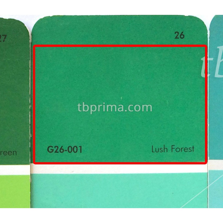 No Drop Tinting G26-001 Lush Forest 1 kg