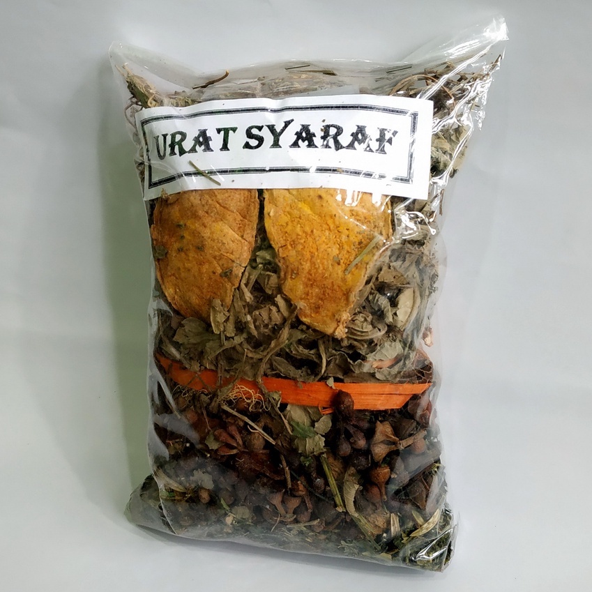 

jamu godok saraf kejepit jamu godok urat saraf jamu godok sakit pinggang jamu boyok jamu godok sakit encok