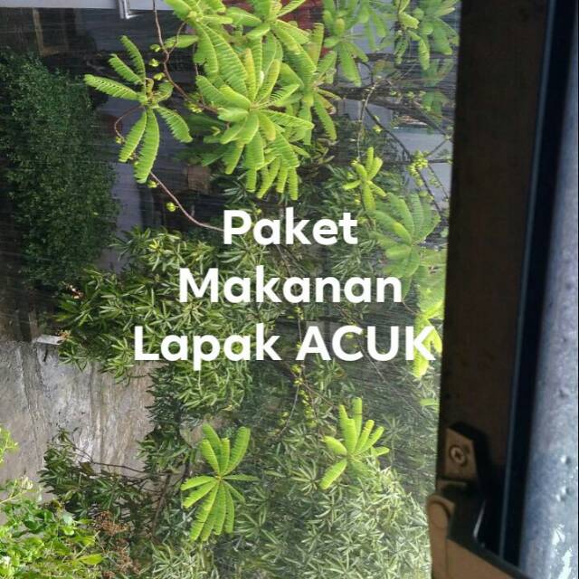 

Kaldu jamur dan daster