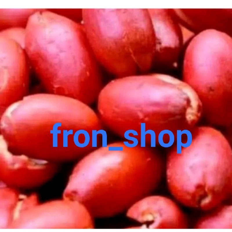 

KULIT MELINJO SEGAR 100%Original | KULIT TANGKIL LANGSUNG PETIK