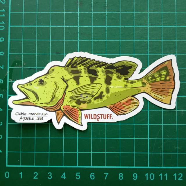 Sticker Wildstuff - Peacock Bass Cichla Monoculus pbass monoculus