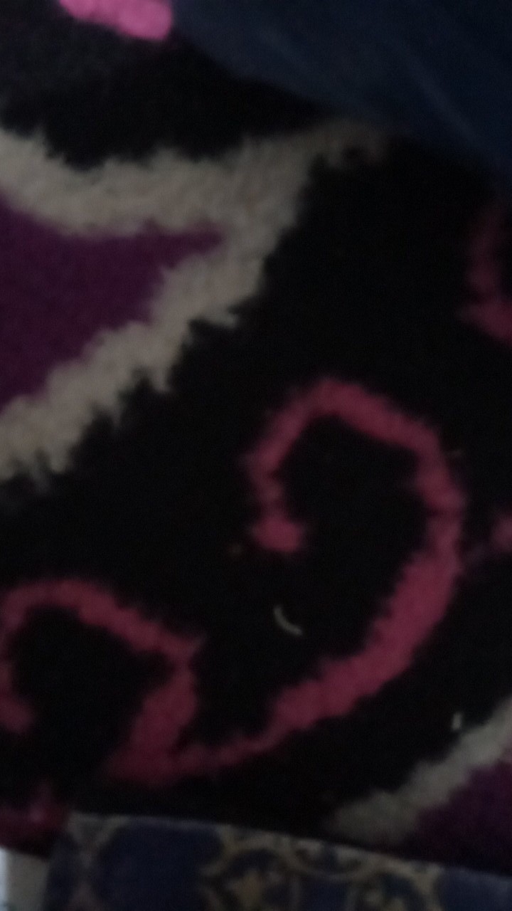 Batik Pria Lengan Pendek Kenongo Hem Pendek Padi Pekalongan M L Xl Batik Pria Murah Modern Grosir