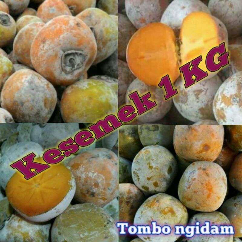 

Kesemek 1 KG COD ( bayar di tempat )