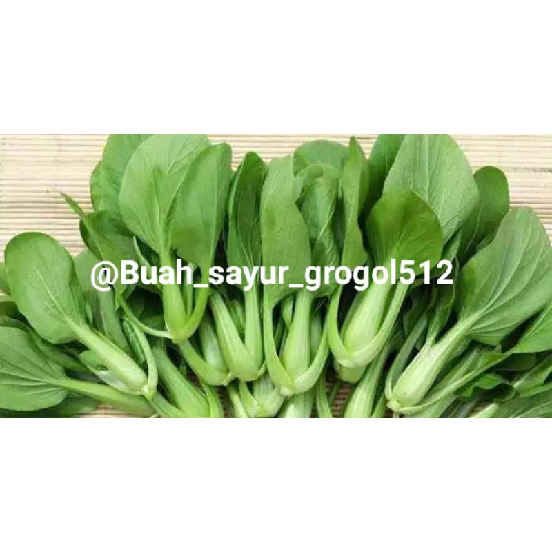 

Pakcoy sayur segar _ 250gr