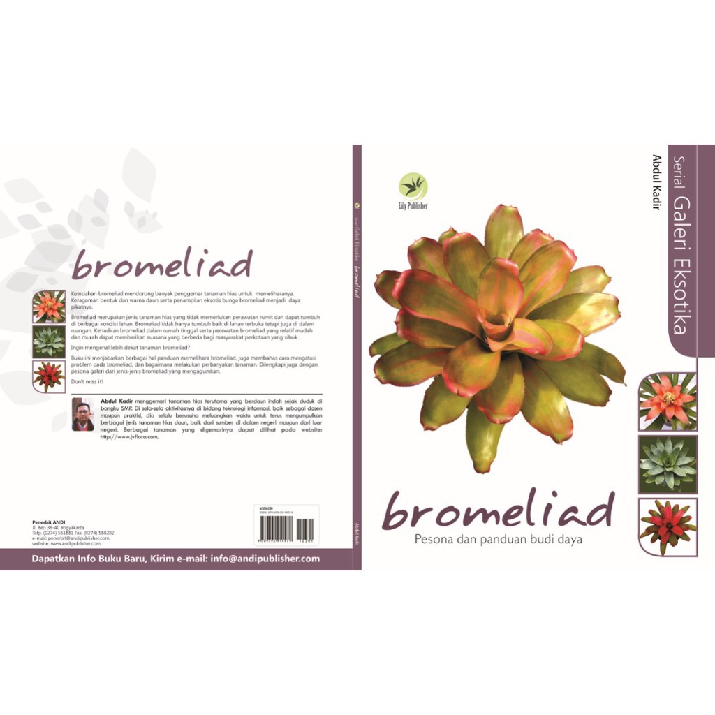 Serial Galeri Eksotika: Bromeliad