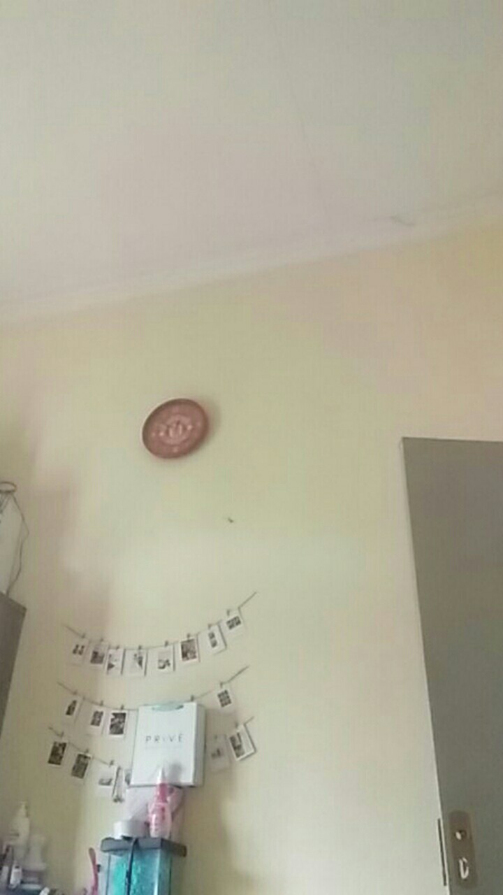 Alang Alang 10gr Pai Mei Ken Bai Mei Gen Baimei Gen Ilalang