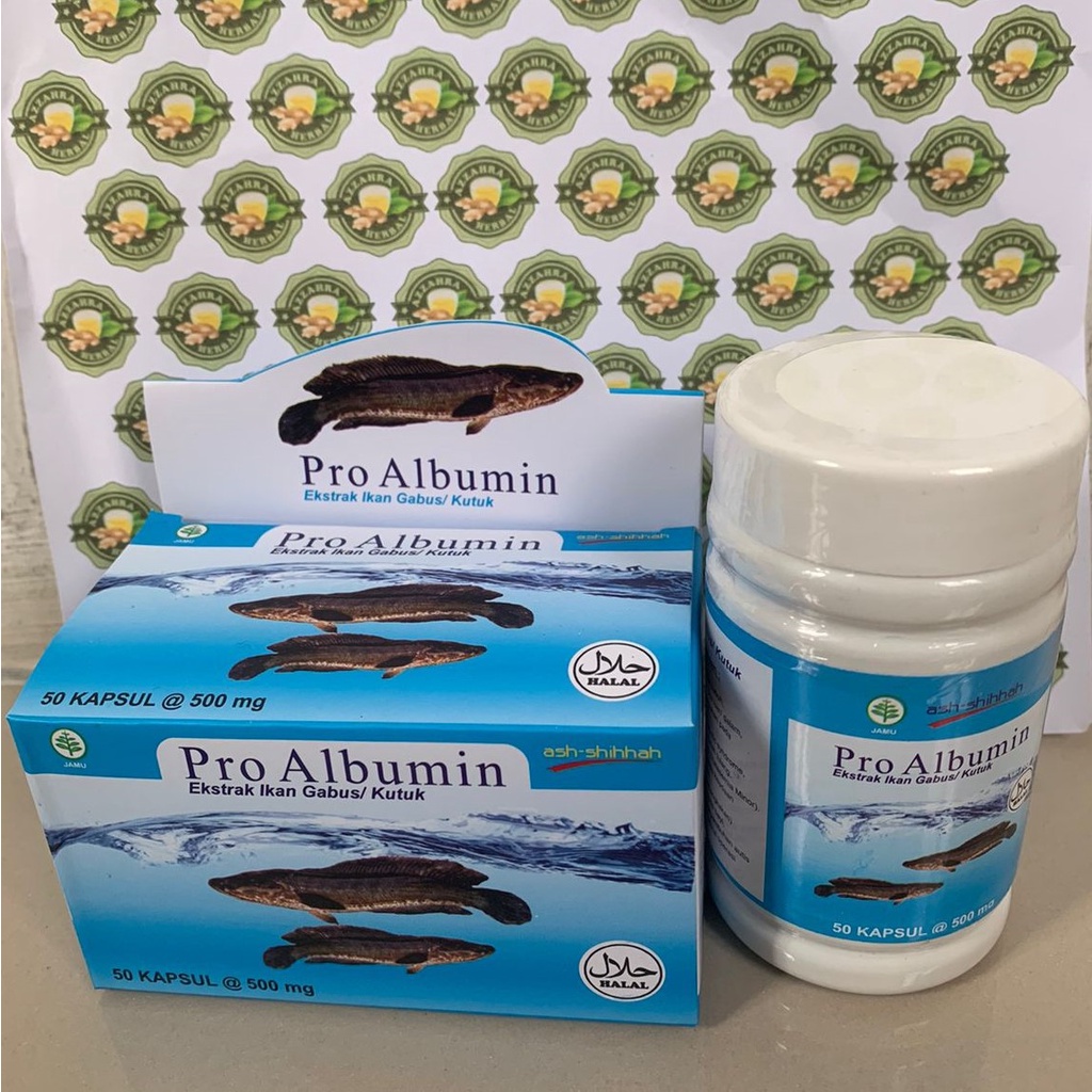 Kapsul Kutuk 50 Kapsul (Ekstrak Albumin) Ikan Gabus Obat Pasca Operasi 5x Bekas Luka Jahitan Cepat Kering / PRO ALBUMIN Original 50 Kapsul / Ekstrak Ikan Gabus