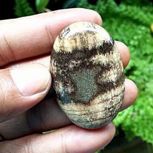 batu akik fosil kayu natural original