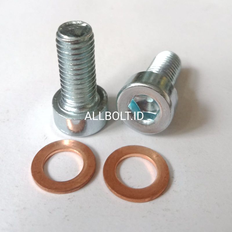 baut suling shock depan honda bebek (1set)
