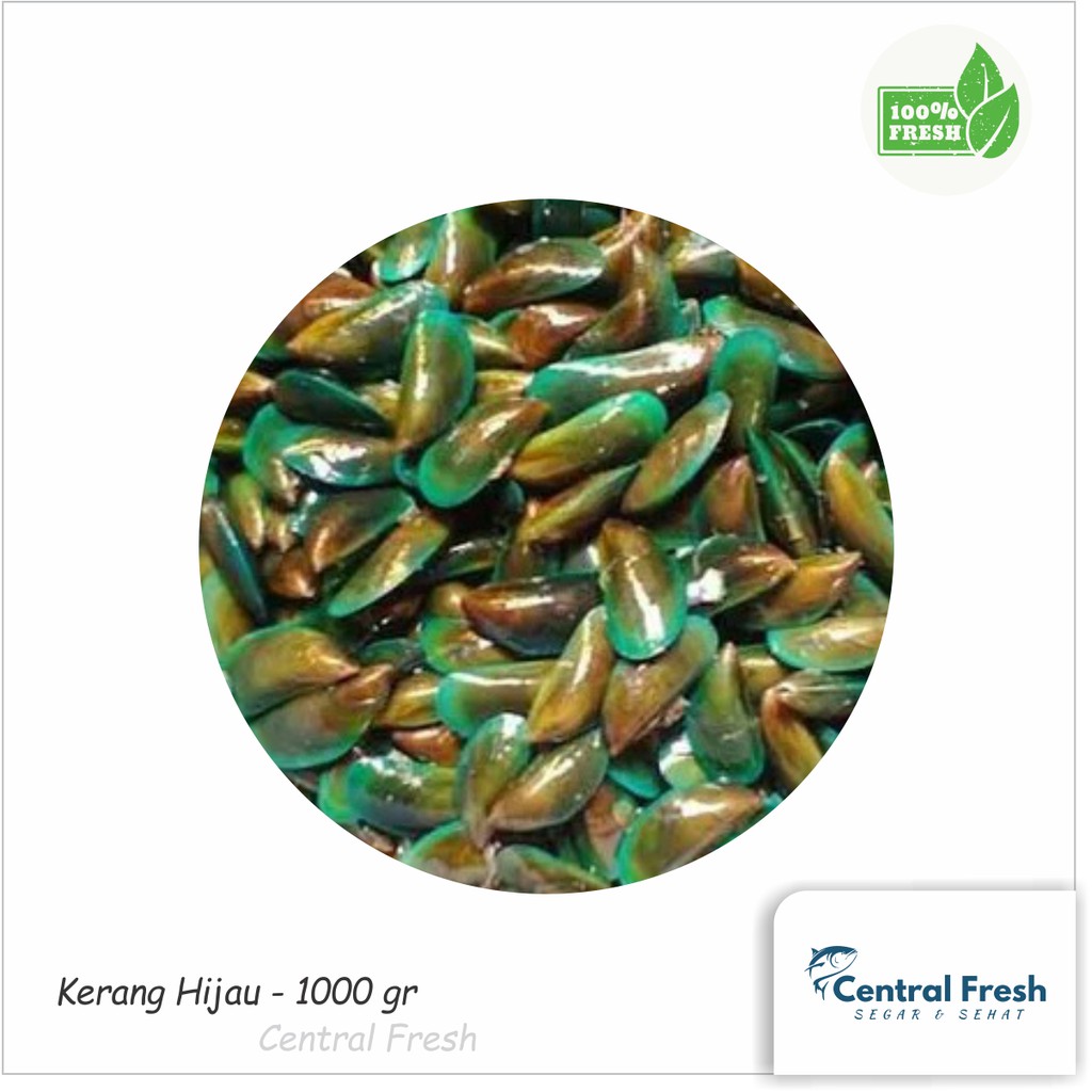 

Kerang Hijau Fresh - 1000 gram