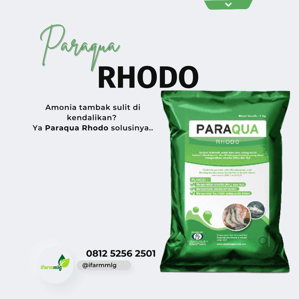 

Paraqua Rhodo Udang Kemasan 1Kg - Probiotik Udang Untuk Menguraikan Amonia & Hidrogen Sulfida