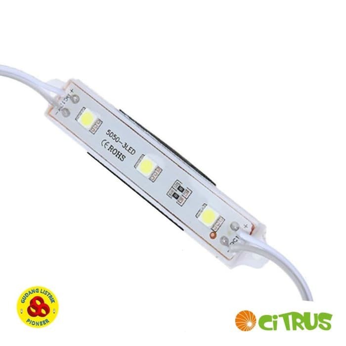 Citrus LED Module SMD 5050 Kuning Waterproof Bright LED 3 Mata 5050