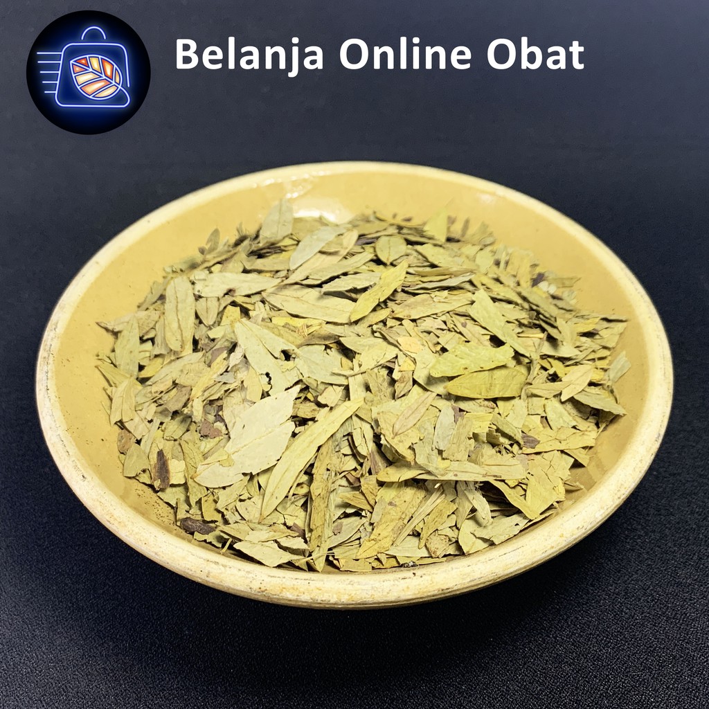DAUN JATI BELANDA