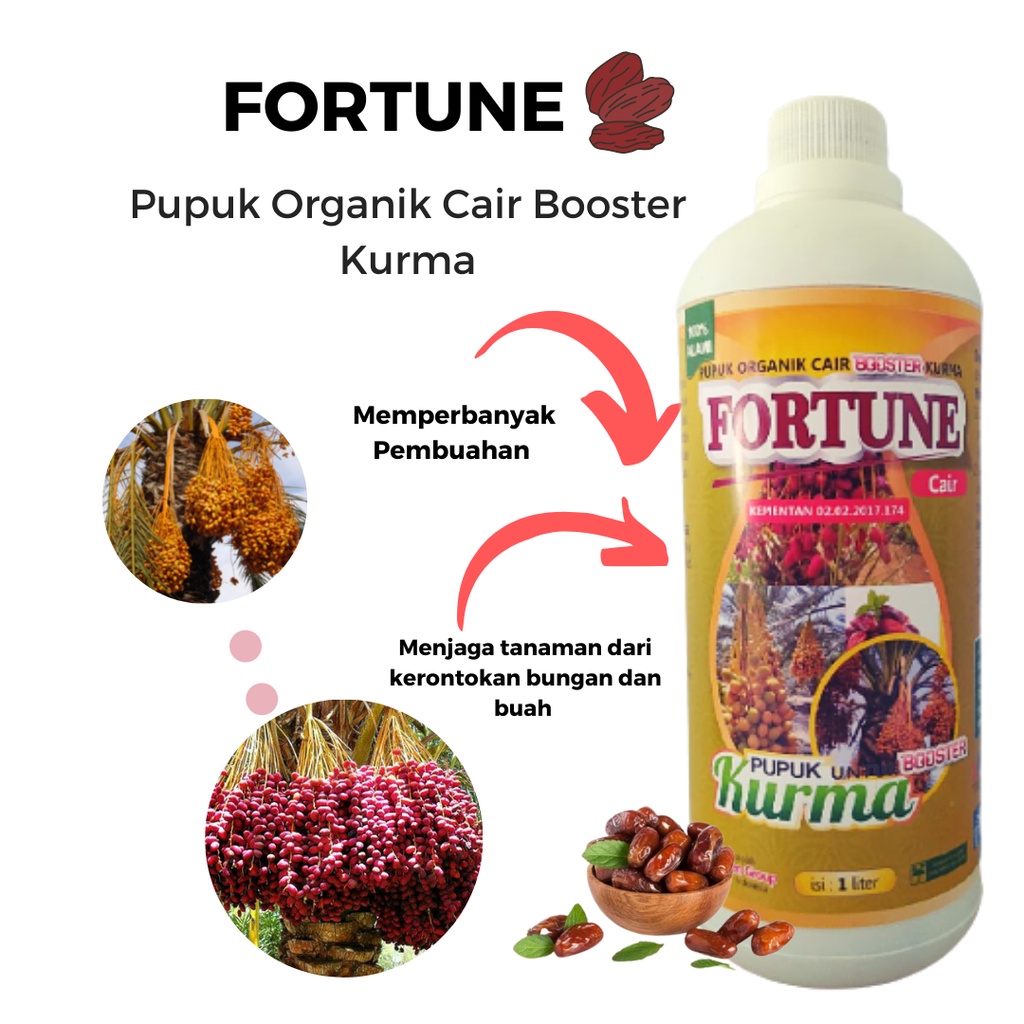 Pupuk Booster Kurma, Pupuk Buah Agar Cepat Tumbuh Besar, BOSTER KURMA CAIR Pemicu Pembuahan, Pupuk K