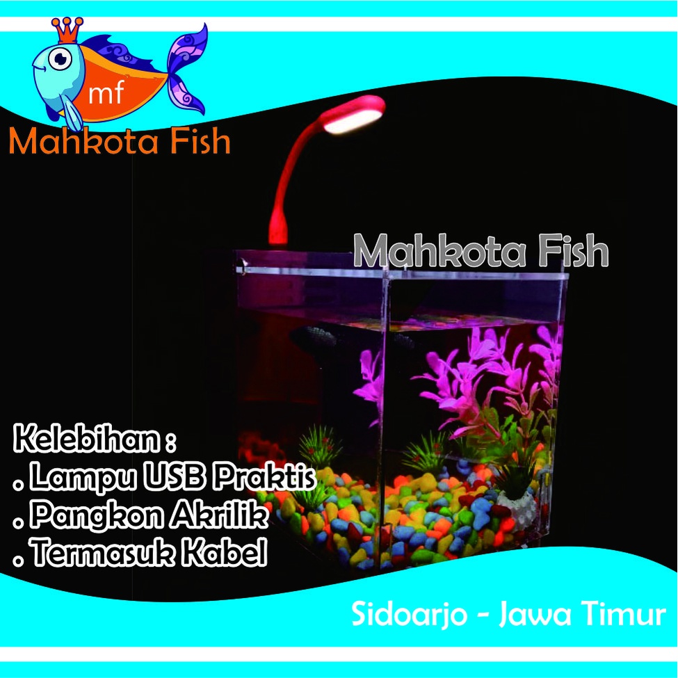 Lampu PANGKON USB Aquarium | Lampu Cupang | Lampu USB (Adaptor Cas) (GRATIS KARDUS)