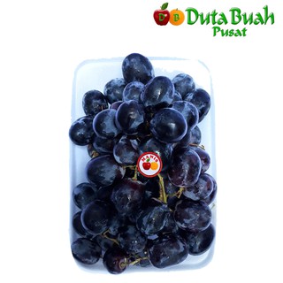 Jual Duta Buah Anggur Autum Royal Usa G Pack Shopee Indonesia