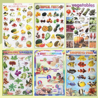 Image of Poster Edukasi Anak Mainan Edukasi Anak Lembaran Fruits Buah Garden Tropical Fish 4 Sehat 5 Sempurna