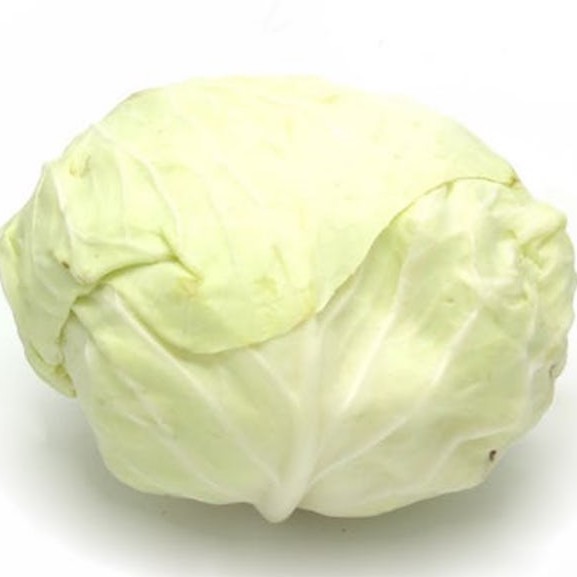 Kol Putih Organik 500g / Organic Cabbage 500g