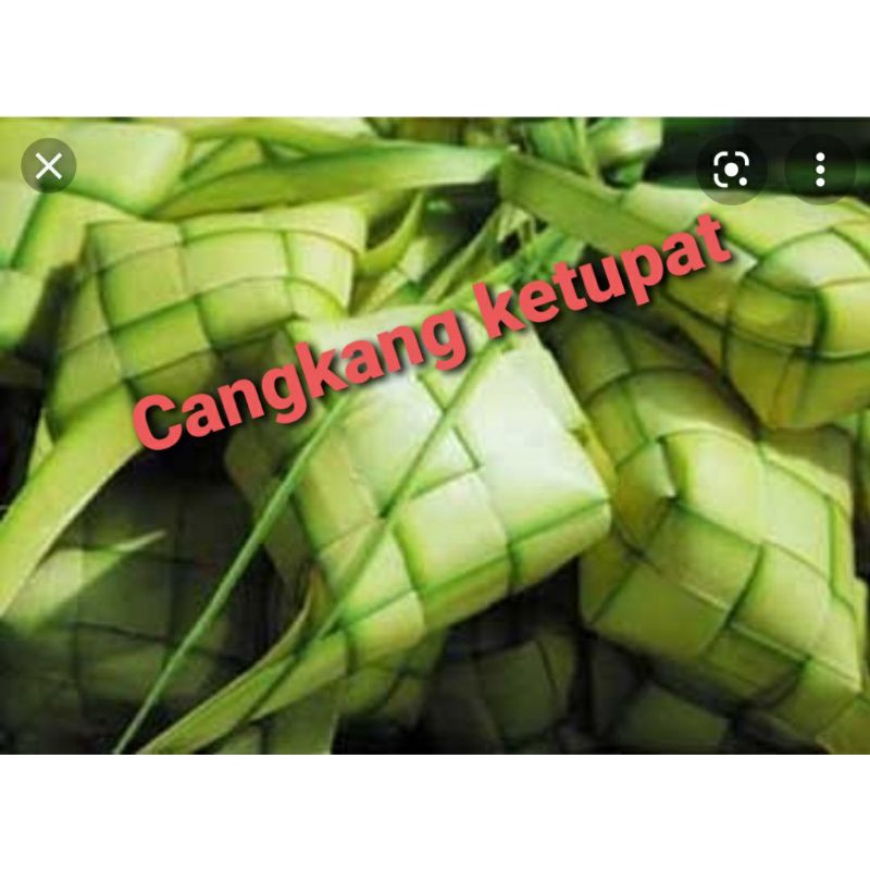 

Cangkang ketupat/15 pcs