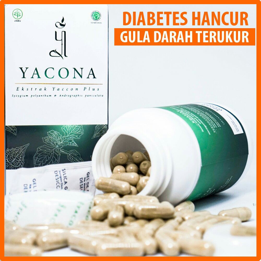 YACONA HERBAL OBAT DIABETES TANPA EFEK SAMPING PALING DIREKOMENDASIKAN - YACONA 120 KAPSUL