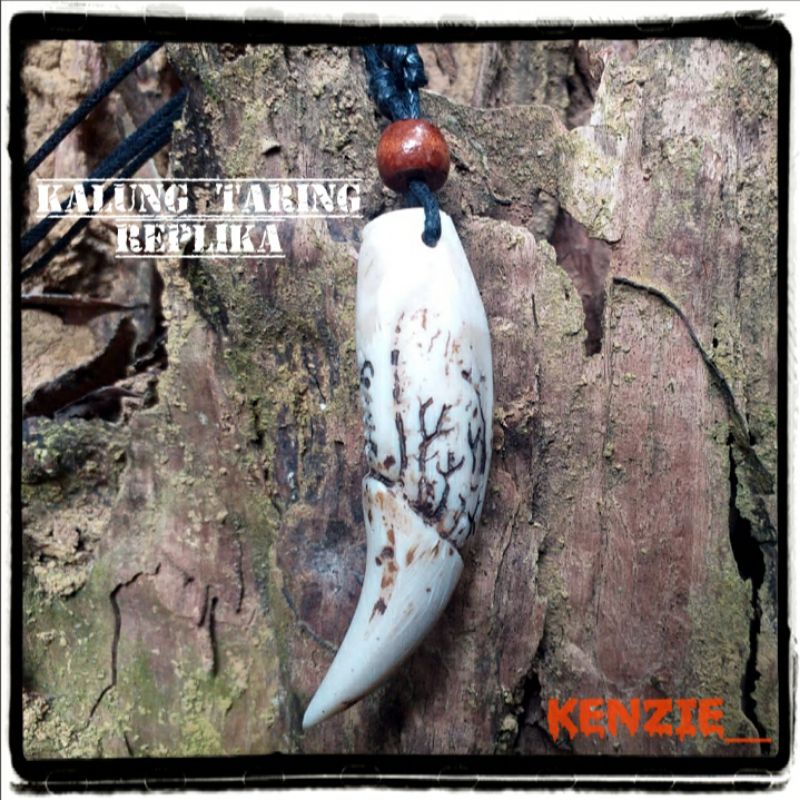 Kalung taring babi etnik dayak