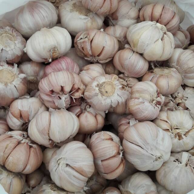 

Bawang Putih Fresh 1 Kg