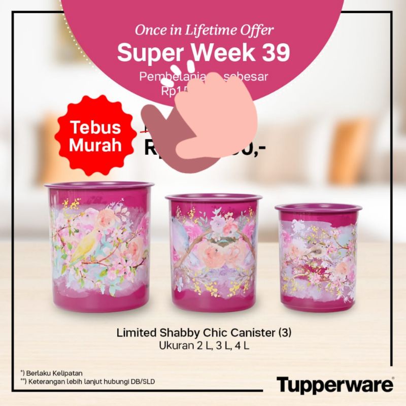 limited shabby chic canister 3 in 1