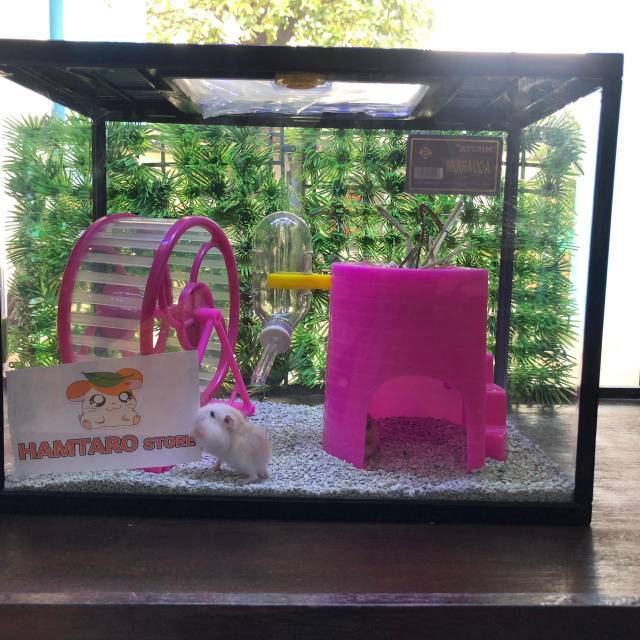 Mini Terarium Hamster model castle  Lengkap [ ONLY GOJEK / GRAB ]